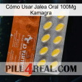 Cómo Usar Jalea Oral 100Mg Kamagra 42